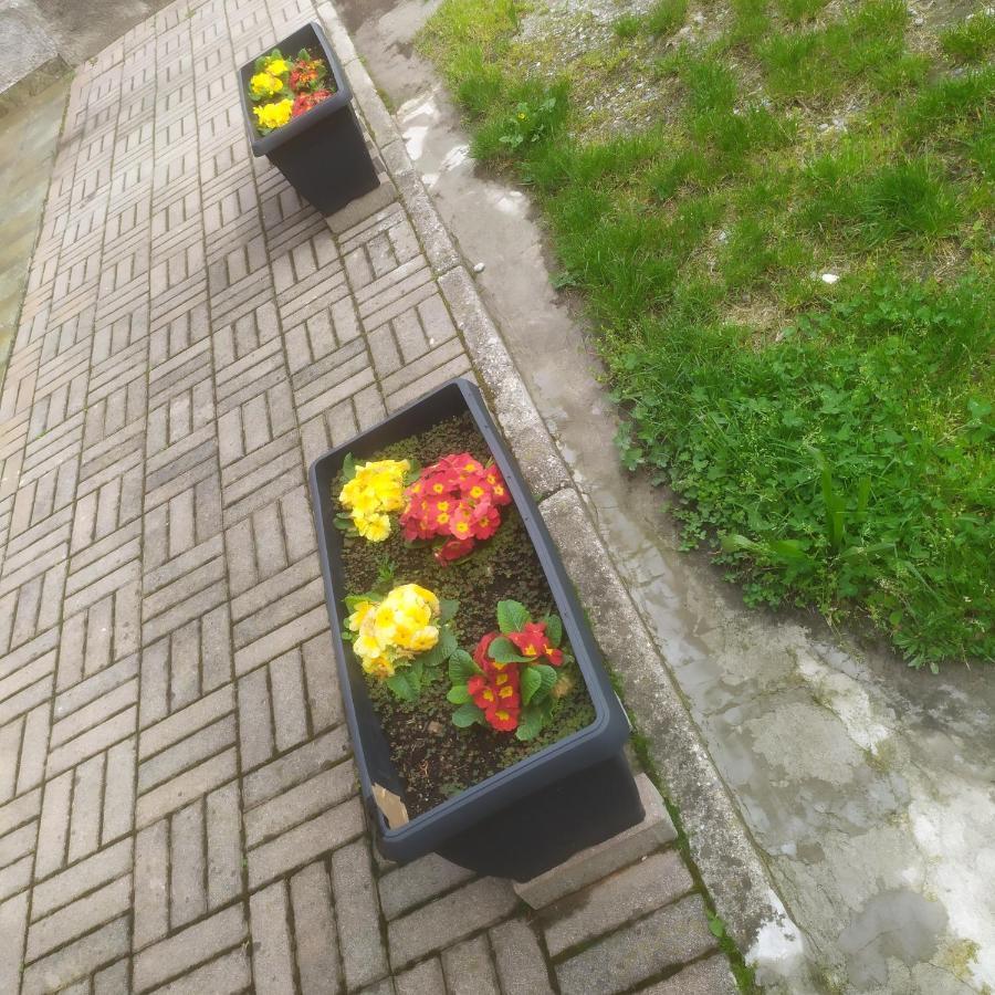 La Quiete Otel Senna Comasco Dış mekan fotoğraf